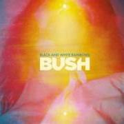 Il testo DYSTOPIA dei BUSH è presente anche nell'album Black and white rainbows (2017)