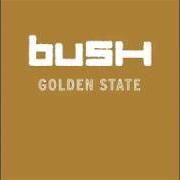 Il testo SUPERMAN dei BUSH è presente anche nell'album Golden state (2001)