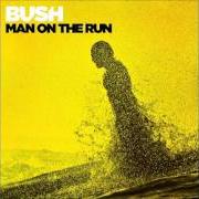 Il testo SPEEDING THROUGH THE BRIGHT LIGHTS dei BUSH è presente anche nell'album Man on the run (2014)