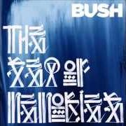 Il testo BE STILL MY LOVE dei BUSH è presente anche nell'album The sea of memories (2011)