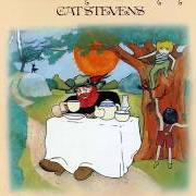 Il testo WHERE DO THE CHILDREN PLAY di CAT STEVENS è presente anche nell'album Tea for the tillerman (1970)
