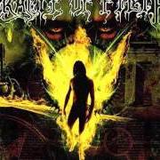 Il testo END OF DAZE dei CRADLE OF FILTH è presente anche nell'album Damnation and a day (2003)