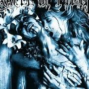 Il testo IN SECRET LOVE WE DROWN dei CRADLE OF FILTH è presente anche nell'album The principle of evil made flesh (1994)