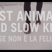 Il testo TENERA ETÀ dei FAST ANIMALS AND SLOW KIDS è presente anche nell'album Forse non e' la felicità (2017)