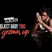 Il testo PROJECTS di KODAK BLACK è presente anche nell'album Project baby 2: all grown up (deluxe) (2017)