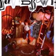 Il testo SHINING STAR (MAKIN' MY LOVE) di DAVID BOWIE è presente anche nell'album Never let me down (1987)