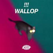 Il testo UR PARANOID di !!! (CHK CHK CHK) è presente anche nell'album Wallop (2019)