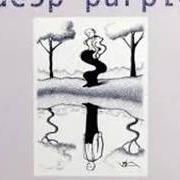 Il testo CLEARLY QUITE ABSURD dei DEEP PURPLE è presente anche nell'album Rapture of the deep (2005)
