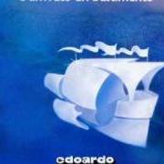 Il testo ADDOSSO AL GATTO di EDOARDO BENNATO è presente anche nell'album E' arrivato un bastimento (1983)