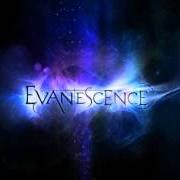 Il testo WHAT YOU WANT degli EVANESCENCE è presente anche nell'album Evanescence (2011)