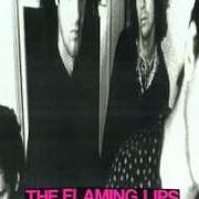 Il testo MOUNTAIN SIDE dei THE FLAMING LIPS è presente anche nell'album In a priest driven ambulance (1990)