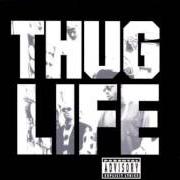 Il testo DEAR MAMA (REMIX) di 2PAC è presente anche nell'album The best of 2pac - part 1: thug (2007)