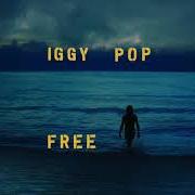 Il testo GLOW IN THE DARK di IGGY POP è presente anche nell'album Free (2019)