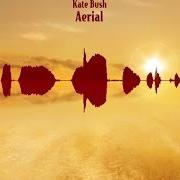 Il testo AN ARCHITECT'S DREAM di KATE BUSH è presente anche nell'album Aerial (2005)
