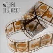 Il testo NEVER BE MINE di KATE BUSH è presente anche nell'album Director's cut (2011)