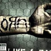 Il testo HERE TO STAY dei KORN è presente anche nell'album Live & rare (2006)